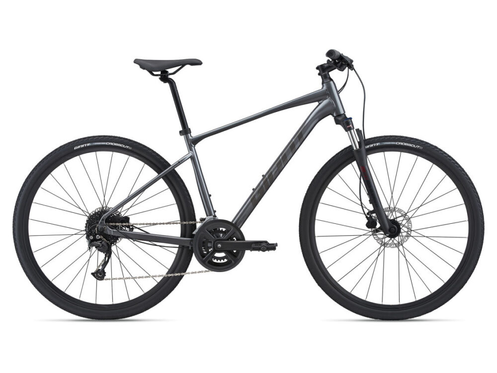 Rower crossowy GIANT ROAM 2 DISC 2022